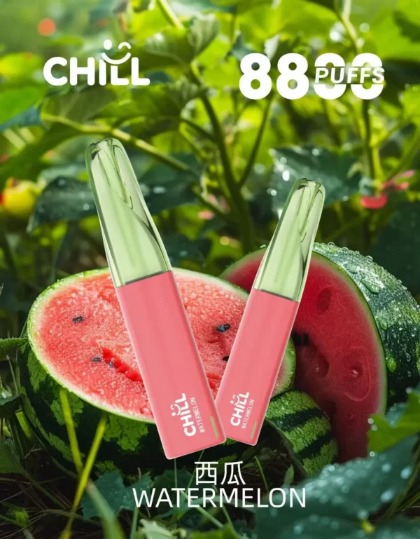 CHILL<br>一次性拋棄式<br>《 8800口 》
